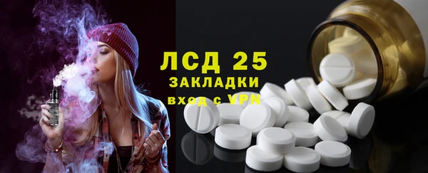 ПСИЛОЦИБИНОВЫЕ ГРИБЫ Осташков
