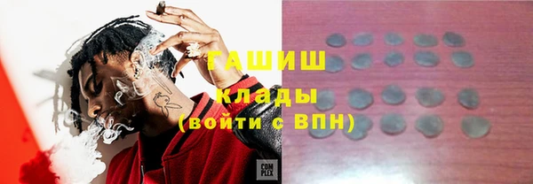 ешки Алексин